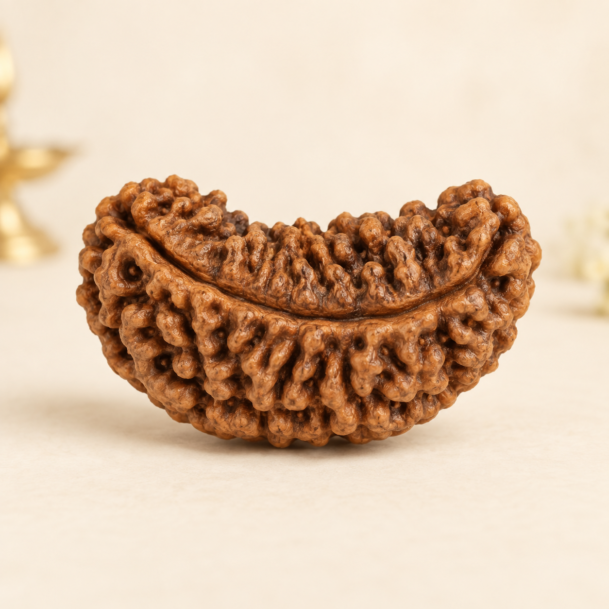 Codex Image 14 Sept 2026, 16_42_12 16 Mukhi Rudraksha - Image 1