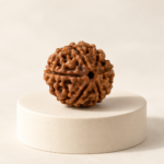 16 Mukhi Rudraksha - Image 2