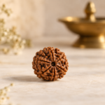 16 Mukhi Rudraksha - Image 3
