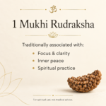 16 Mukhi Rudraksha - Image 4