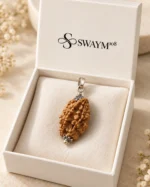 2 Mukhi Rudraksha pendant in a white SWAYM108 presentation box